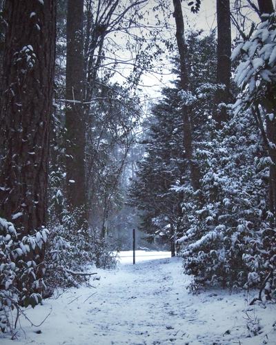 Snowy exit path