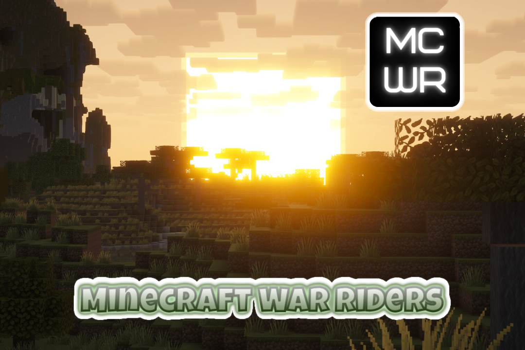 Server Infrastructure